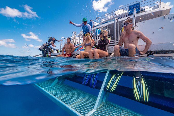 Calypso Outer Great Barrier Reef Cruise from Port Douglas - Discover the Magic of the Great Barrier Reef with Calypso Outer Reef Cruise from Port Douglas