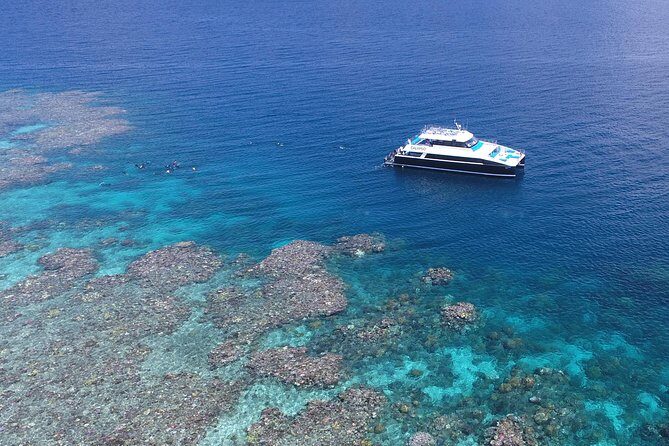 Calypso Outer Great Barrier Reef Cruise from Port Douglas - Key Points