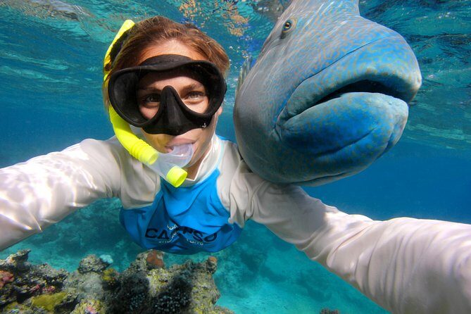 Calypso Outer Great Barrier Reef Cruise from Port Douglas - Considerations and Practical Tips