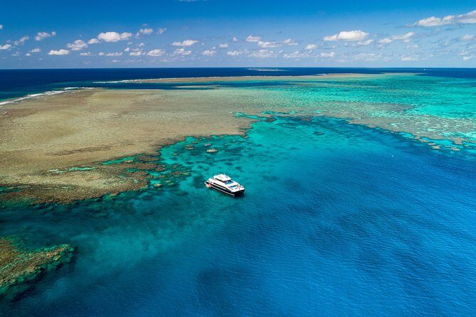 Calypso Outer Great Barrier Reef Cruise from Port Douglas - Who Will Love This Tour?
