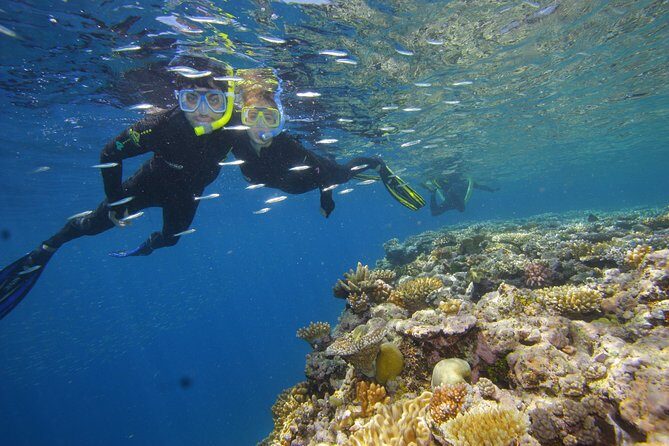 Calypso Outer Great Barrier Reef Cruise from Port Douglas - Final Thoughts