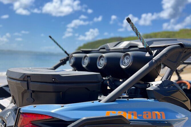 Cam Am Tour - Street Food & Beaches! - An Exciting Spin Through Puerto Rico’s Streets and Beaches: The Cam Am Tour