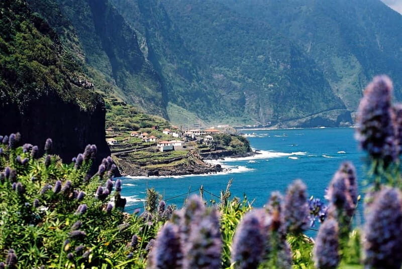 Câmara de Lobos, Pico da Torre, and Porto Moniz Tour - What Makes This Tour Worthwhile?