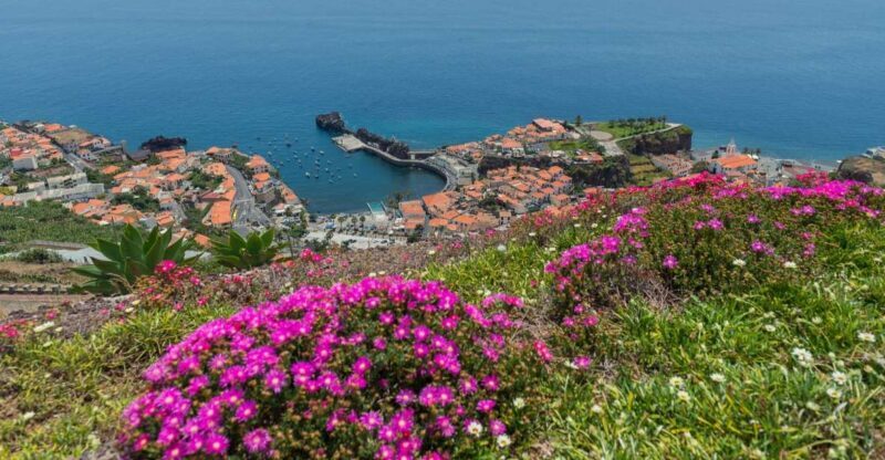 Câmara de Lobos: Private Fishing Village Tour by Tuk-Tuk - Considerations & Who This Tour Suits Best
