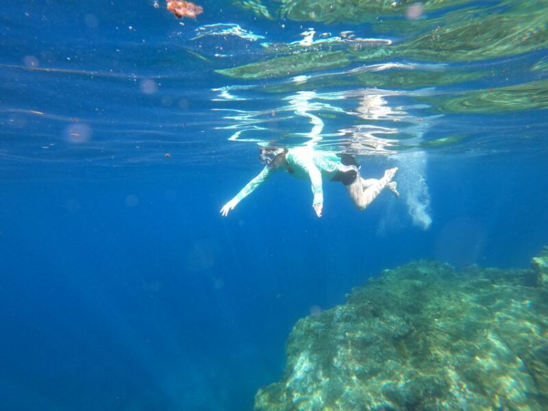 Câmara de Lobos: Private Guided Kayaking Tour in Madeira - Who Will Love This Experience?