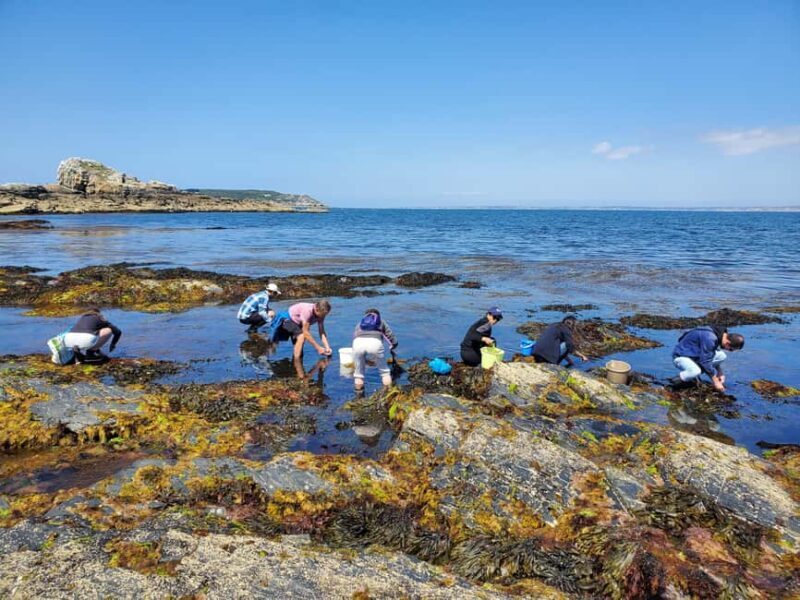Camaret-sur-mer: Seaweed picking and cooking workshop - Final Thoughts