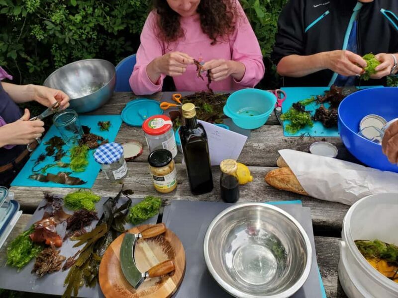 Camaret-sur-mer: Seaweed picking and cooking workshop - FAQs