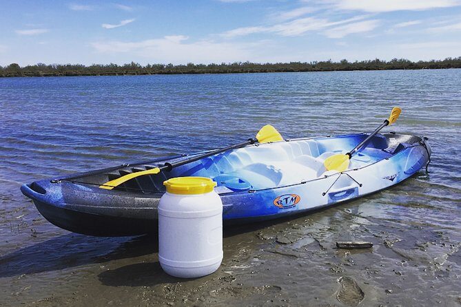 Camargue 4x4 Safari 2h + Picnic + Kayak - A Closer Look at the Camargue 4x4 Safari, Picnic, and Kayak Tour