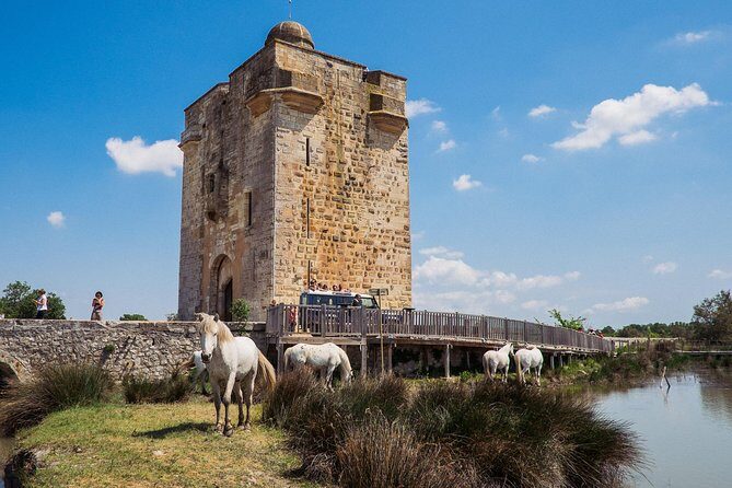 Camargue 4x4 Safari VIP Tour - Key Points