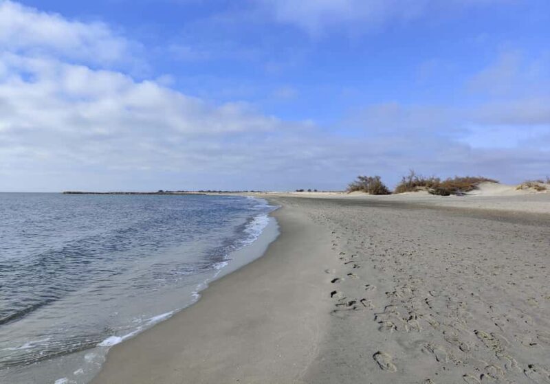 Camargue, its secrets and its magic: an exclusive tour - Discover the Camargue: An Authentic, Tailor-Made Tour