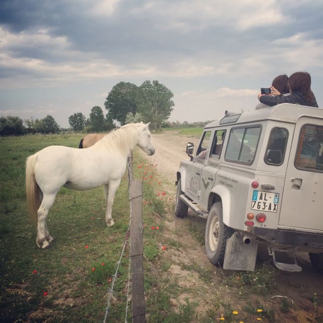 Camargue: Safari from Saintes-Maries-de-la-Mer - Key Points