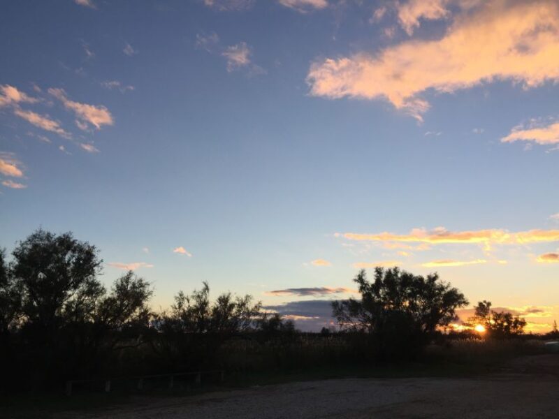 Camargue: Safari from Saintes-Maries-de-la-Mer - The Bottom Line