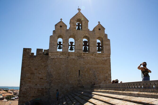 Camargue Small-Group Day Trip from Avignon - FAQ