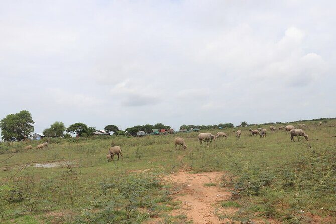 Cambodia Buggy Adventure Tours - FAQ