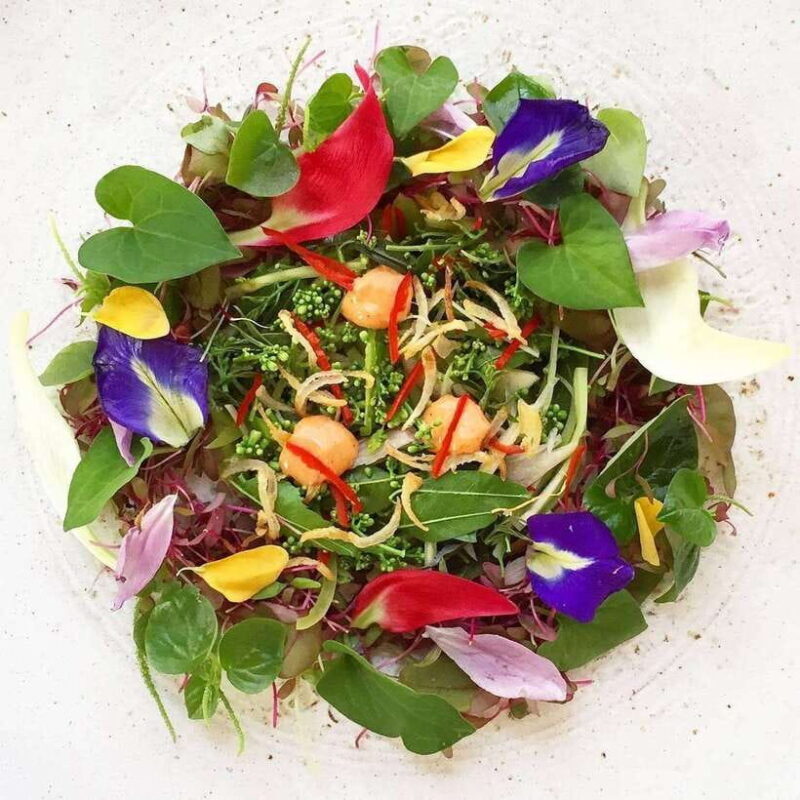 Cambodia Cooking Class, Oxcart Ride with Local Village Tour - The Itinerary in Detail