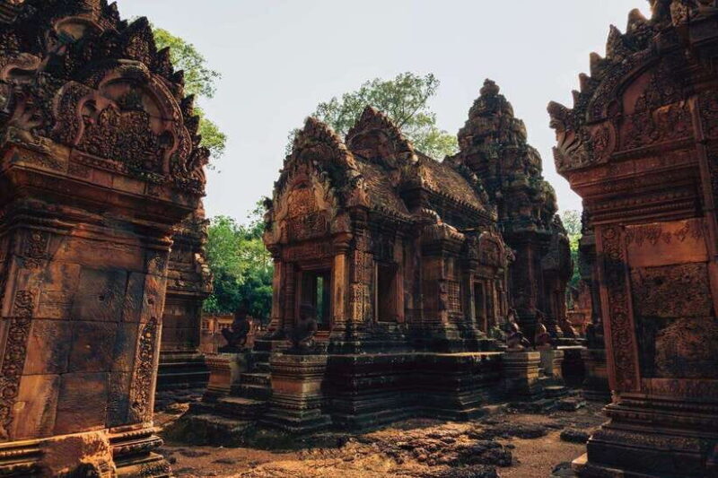 Cambodia Elephant Sanctuary and Banteay Srey Temple Tour - Cambodia Elephant Sanctuary and Banteay Srey Temple Tour