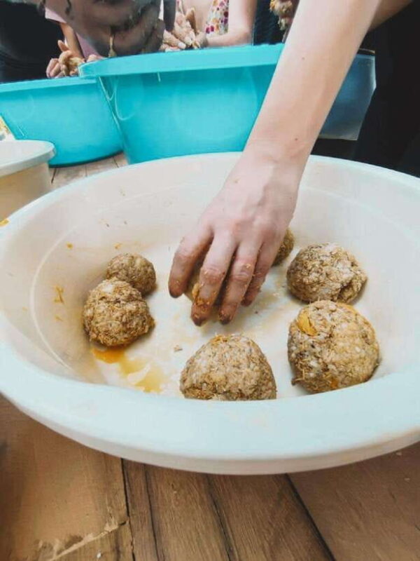 Cambodia Elephant Sanctuary and Banteay Srey Temple Tour - Final Thoughts