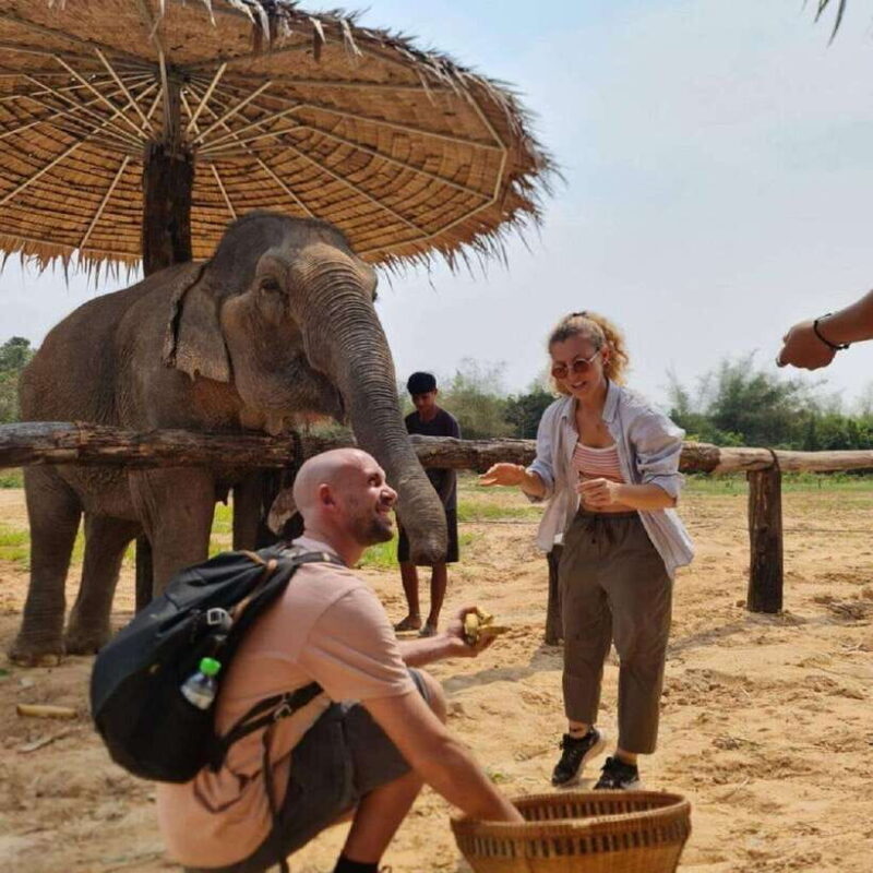 Cambodia Elephant Sanctuary and Banteay Srey Temple Tour - FAQ