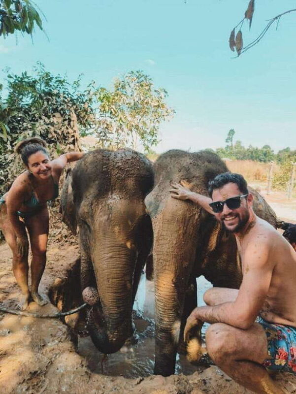 Cambodia Elephant Sanctuary and Banteay Srey Temple Tour - The Sum Up