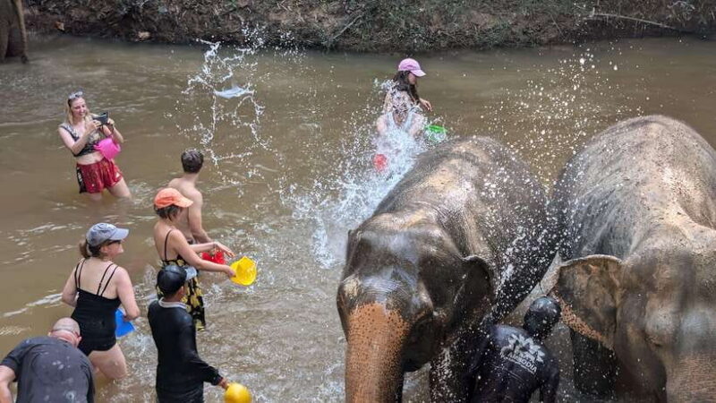 Cambodia Elephant Sanctuary Include Hotel Transfer Roundtrip - Who Would Love This Tour?