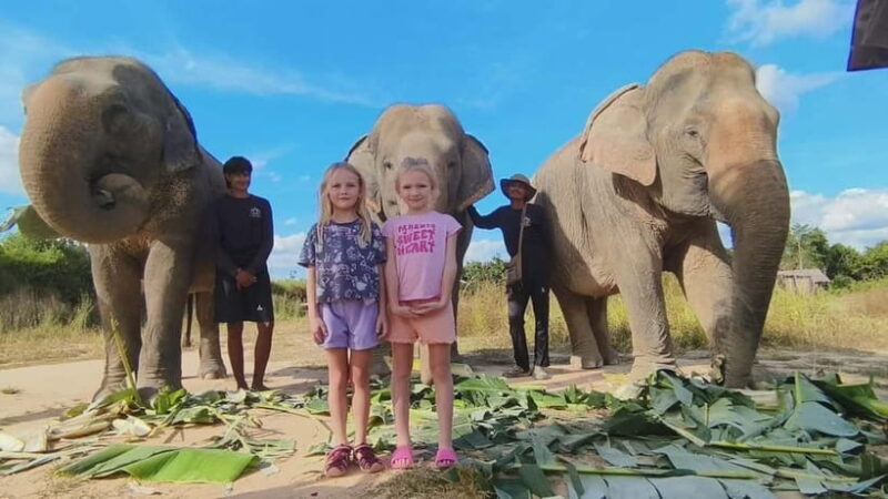 Cambodia Elephants Haft Day Experiences from Siem Reap - Who Would Love This Tour?