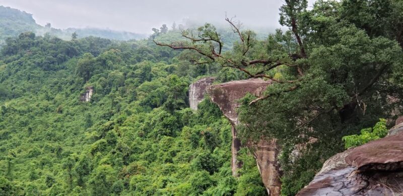 Cambodia Elephants Haft Day Experiences from Siem Reap - Final Thoughts