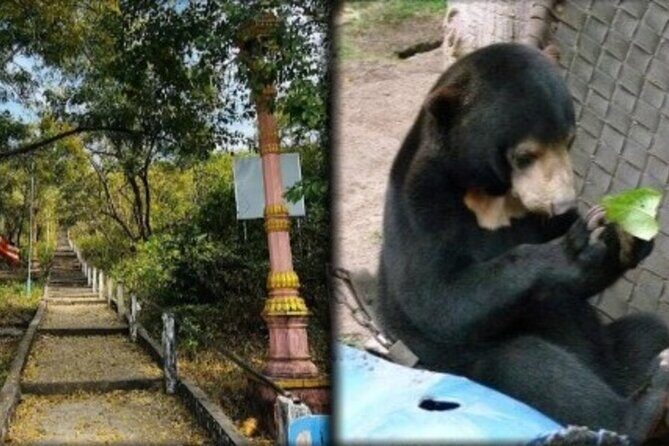 Cambodia Wildlife Sanctuary and Countryside Tour - Key Points