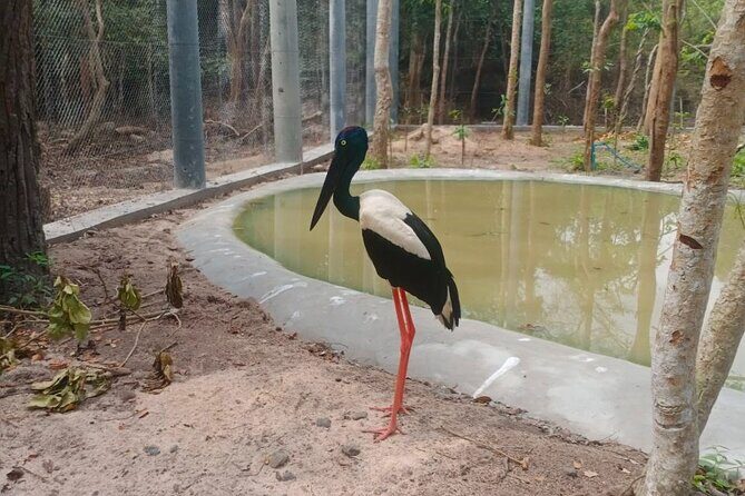 Cambodia Wildlife Sanctuary and Countryside Tour - The Sum Up: Who Will Love This Tour?