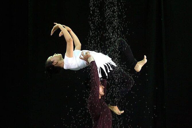Cambodian Circus Show in Siem Reap by Phare with Hotel Pick-Up - Key Points