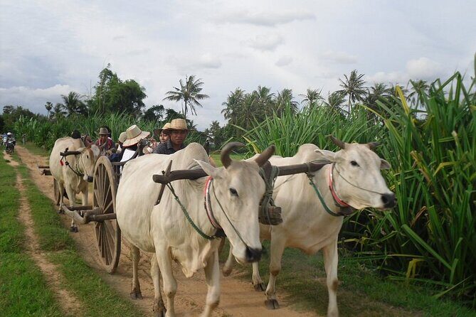 Cambodian Cooking Class and Oxcart Ride with Local Village Tour - A Detailed Look at the Experience