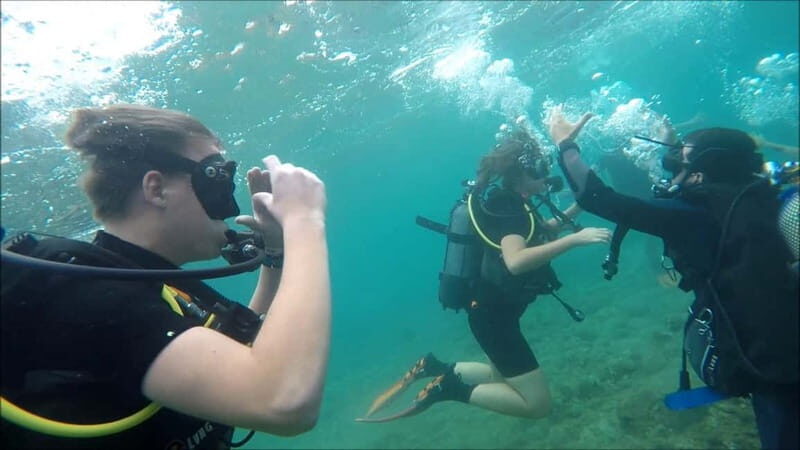 Cambrils: club Scuba Diving for beginners with hotel pickup - Discover the Underwater World of Cambrils with a Beginner-Friendly Scuba Tour