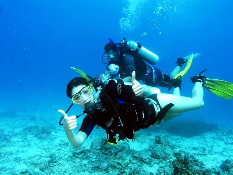 Cambrils: club Scuba Diving for beginners with hotel pickup - Key Points
