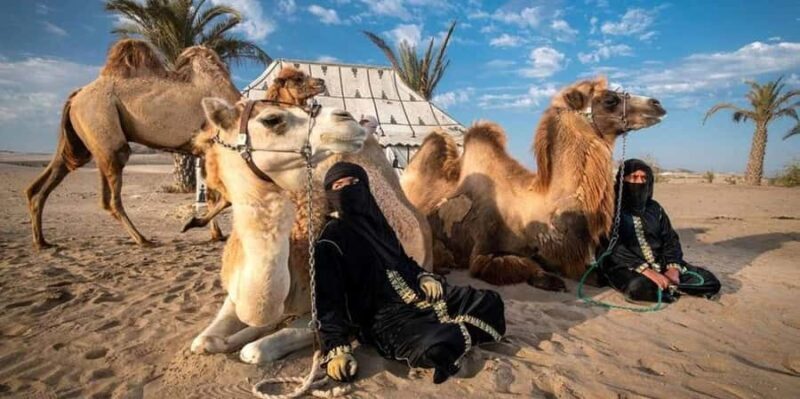 Camel Adventure in the Peruvian Desert - Camel Adventure in the Peruvian Desert: An Authentic, Scenic Journey