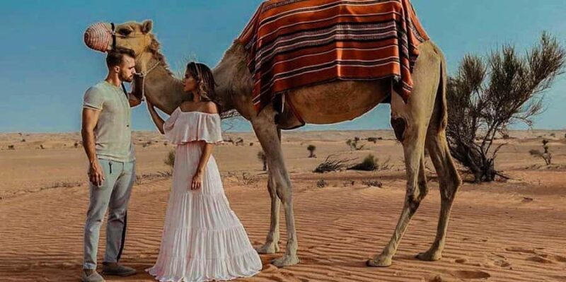 Camel Adventure in the Peruvian Desert - Key Points