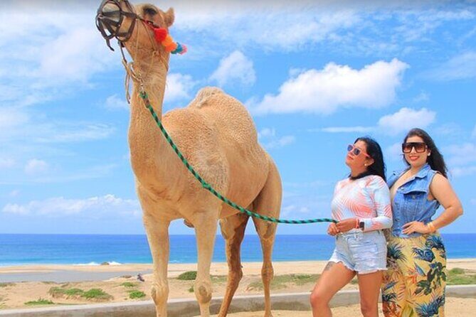 Camel Beach Ride Adventure in Los Cabos with Tequila Tasting - The Beach and Camel Experience: More Than Just a Ride