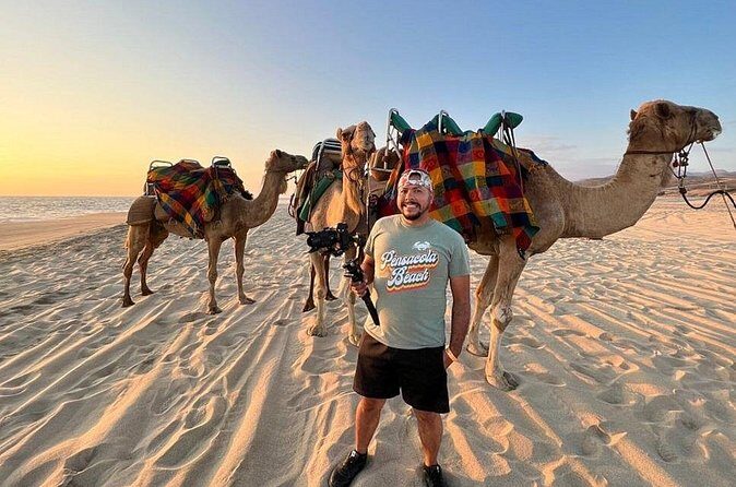 Camel Beach Ride Adventure in Los Cabos with Tequila Tasting - Who Will Love This Tour?