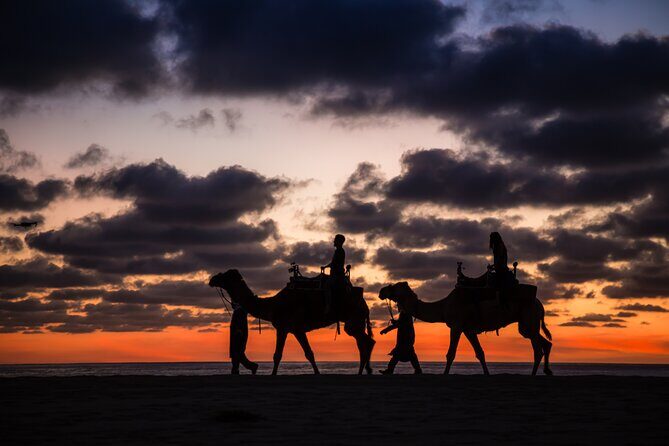 Camel Ride and Tequila Tasting Adventure in Los Cabos - Key Points