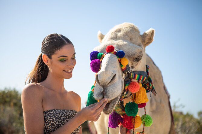 Camel Ride and Tequila Tasting Adventure in Los Cabos - Authenticity and Value
