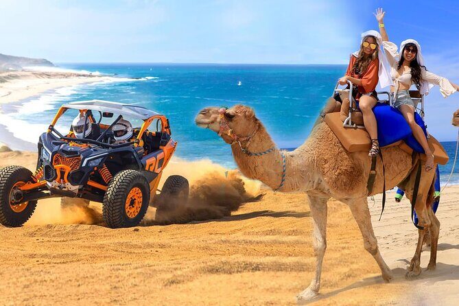 Camel Ride and UTV Combo Adventure, with Tequila Tasting - An In-Depth Look at the Camel Ride and UTV Combo Adventure