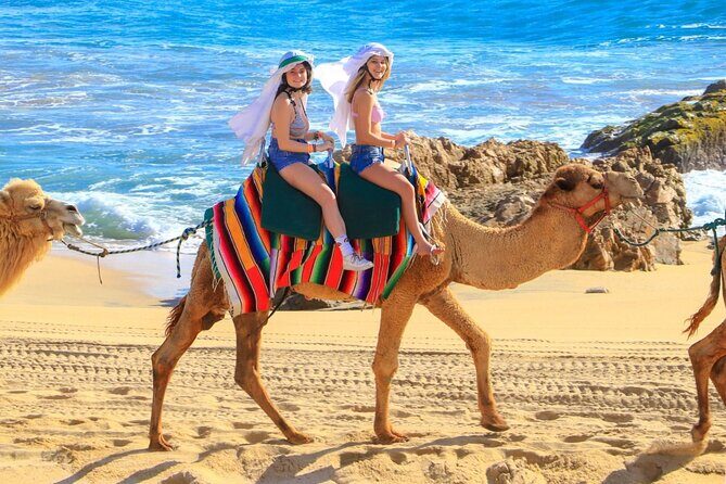 Camel Ride and UTV Combo Adventure, with Tequila Tasting - FAQ