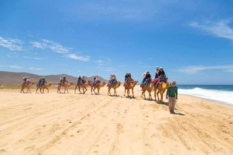 Camel Ride Beach and Desert Adventure. - FAQ