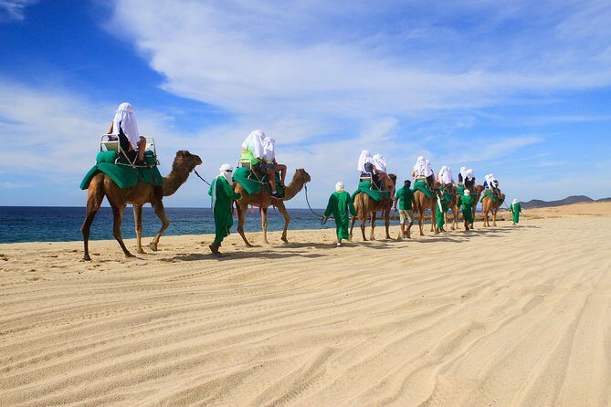 Camel Ride & Encounter at Los Cabos - Exploring the Camel Ride & Encounter Experience
