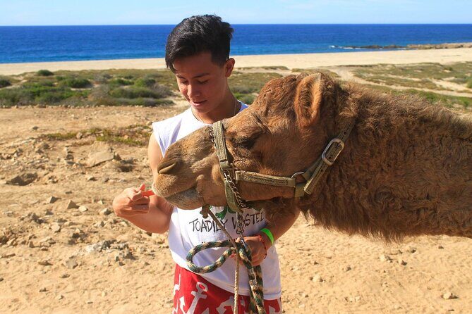 Camel Ride & Encounter at Los Cabos - Who Will Enjoy This Tour?