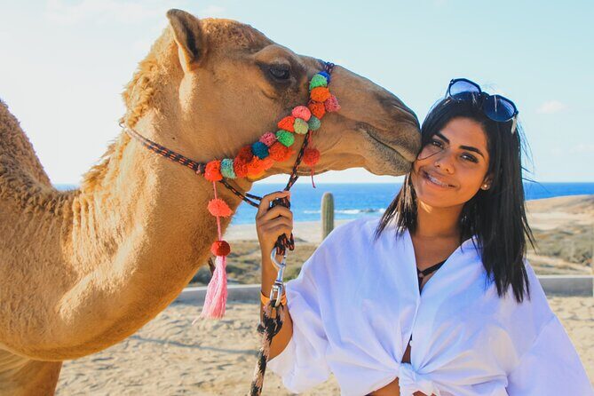 Camel Ride Experience in Los Cabos with Pick up and Lunch - Discovering the Camel Ride Experience in Los Cabos