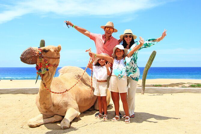 Camel Ride Experience in Los Cabos with Pick up and Lunch - Key Points