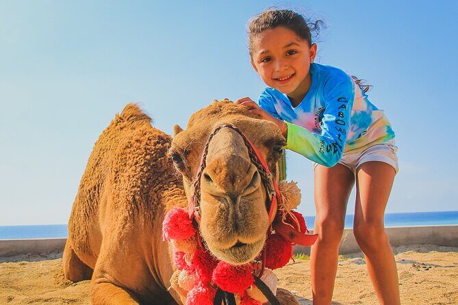Camel Ride Experience in Los Cabos with Pick up and Lunch - FAQs