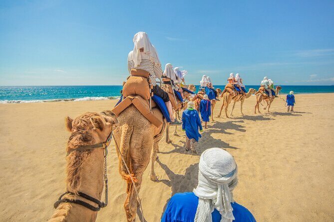 Camel Ride in Los Cabos with Buffet Food and Beer - An Authentic Baja Adventure: Camel Ride in Los Cabos with Buffet Food and Beer