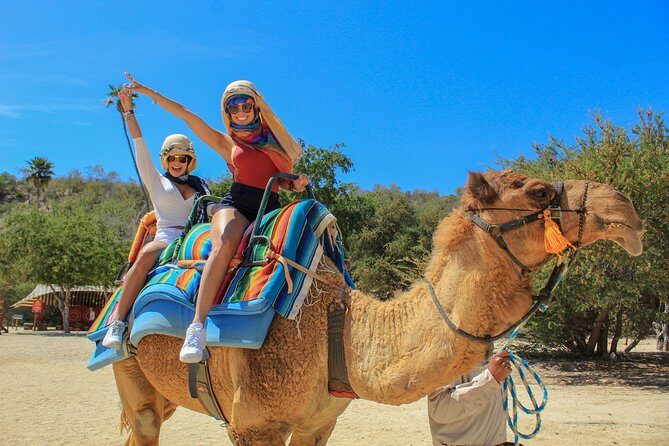 Camel Ride in the Canyon, Thrilling Water Slides and Snacks - Key Points