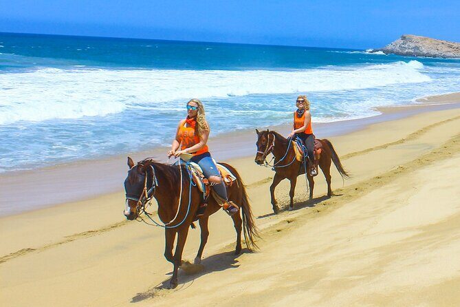 Camel Ride Tour in Los Cabos - A Unique Way to Experience Los Cabos: Camel Ride Tour