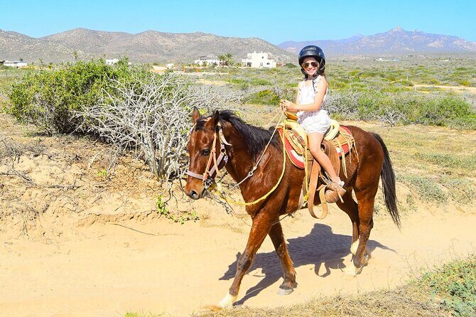 Camel Ride Tour in Los Cabos - Key Points